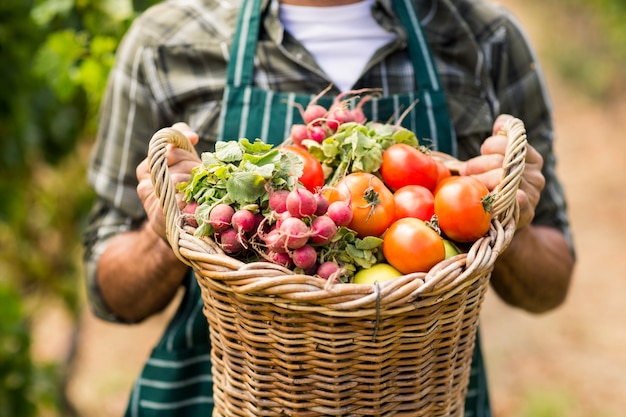 Photo mid section of farmer holding a basket of vegetables