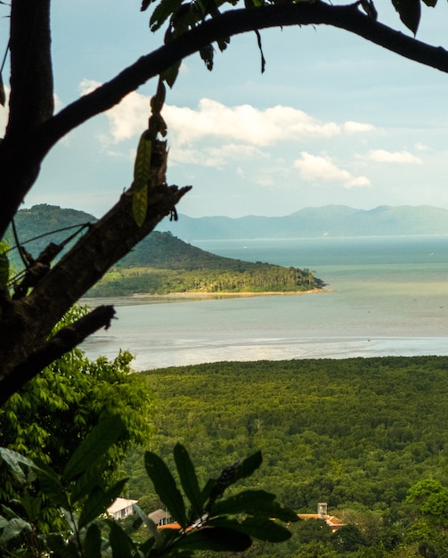 Middagmening van Aapheuvel, tropische eilanden, Thailand