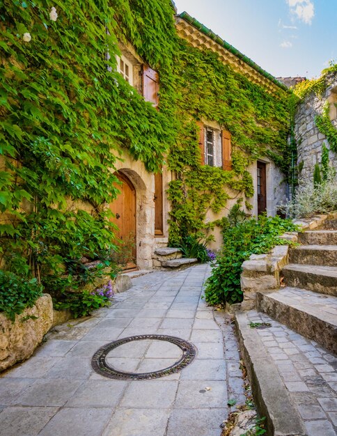 Middeleeuws stenen huis en wijnstok in het dorp Les Matelles in het zuiden van Frankrijk (Herault)