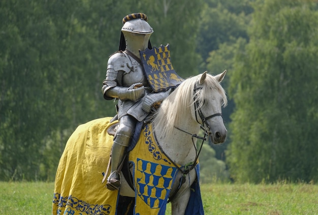 Middeleeuwse ridder in metalen harnas op een paard in een veld