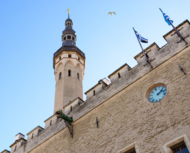 Middeleeuwse stadhuistoren in Tallinn, de hoofdstad van Estland