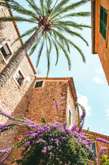 middeleeuwse straat in de oude stad van het pittoreske Spaanse dorp Fornalutx Mallorca