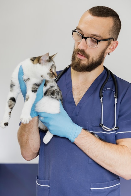 Foto middelgrote schot arts met een stethoscoop die kat bekijkt