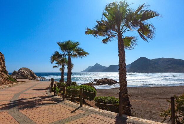 Middellandse Zee zomer kustlijn uitzicht met strand, voetpad en palmbomen (Baai van Portman, Costa Blanca, Spanje).