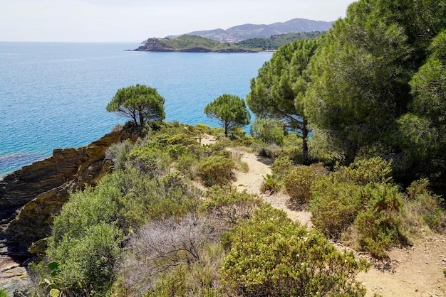 Middellandse Zeekust in Port Vendres bij de stad Collioure in Zuid-Frankrijk