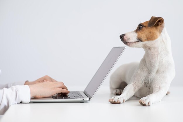 Middelsectie van een vrouw die thuis een laptop gebruikt