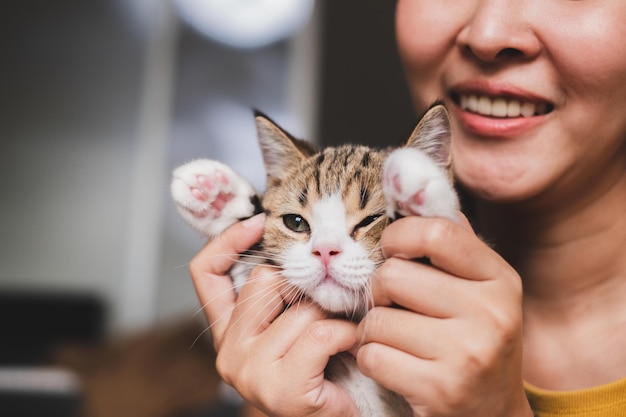 Middelsnede van een glimlachende vrouw met een kitten