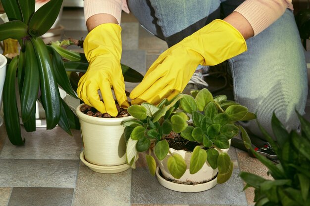 Foto middelsnede van een man die een gele potplant vasthoudt