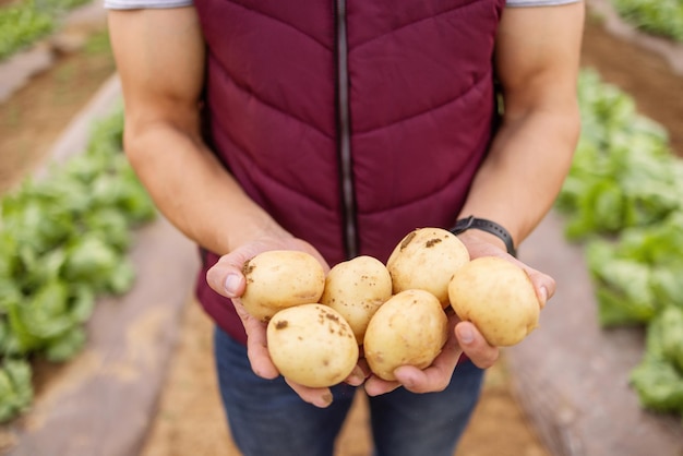 Foto middelsnede van een man die fruit vasthoudt