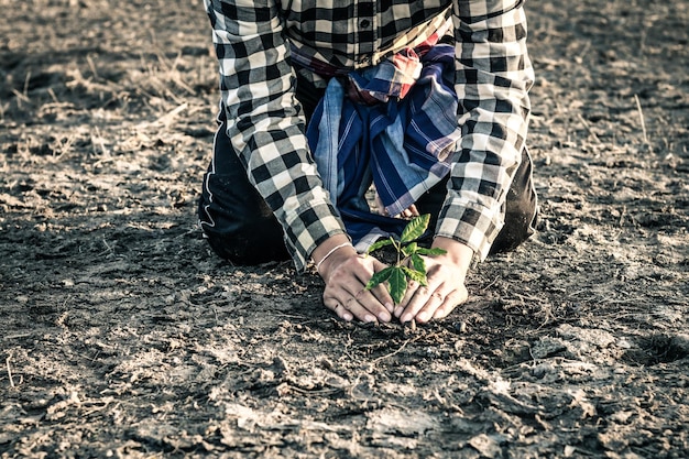 Middelsnede van een man die op het veld plant