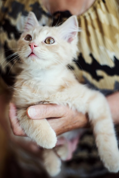 Foto middelsnede van een oudere vrouw die thuis een kat vasthoudt