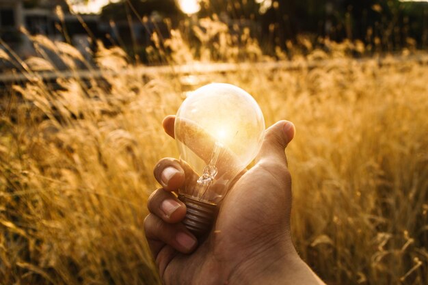 Foto middelsnede van een persoon die een plant op het veld houdt