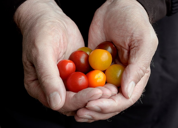 Middelsnede van een persoon die tomaten vasthoudt