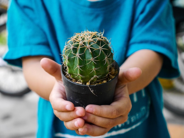 Foto middelsnede van een succulente plant die door een kind wordt gehouden