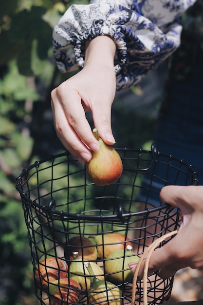 Foto middelsnede van een vrouw die een appel vasthoudt