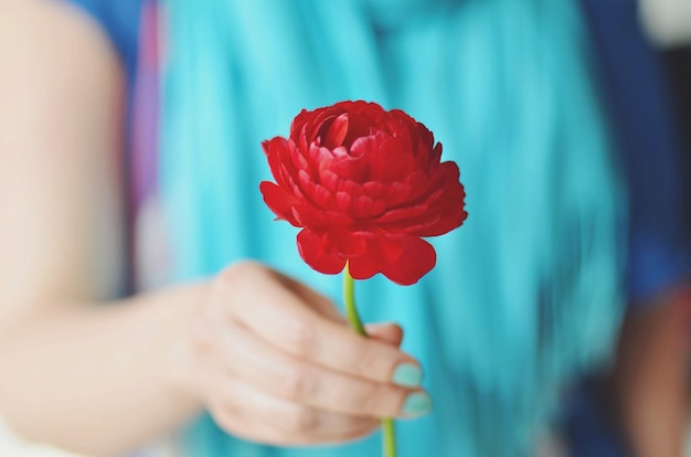 Middelsnede van een vrouw die een boterhambloem vasthoudt