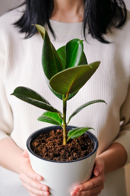 Middelsnede van een vrouw die een potplant vasthoudt