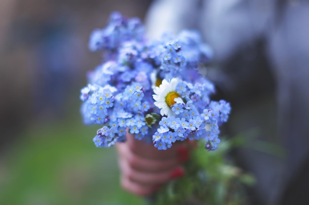 Foto middelsnede van een vrouw die forget-me-not vasthoudt.