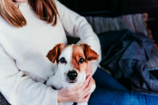 Middelsnede van een vrouw die in een auto zit met een hond