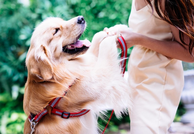 Middelsnede van een vrouw die met een hond speelt