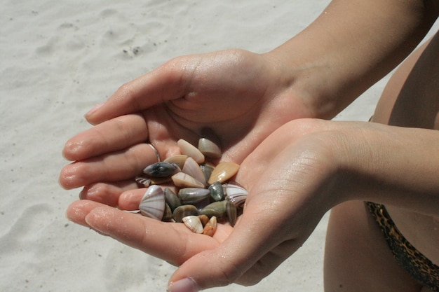 Middelsnede van een vrouw die op een zonnige dag kiezelstenen vasthoudt op een zandstrand