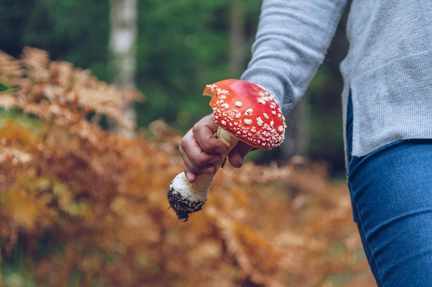 Middelsnede van een vrouw met een paddenstoel in het bos