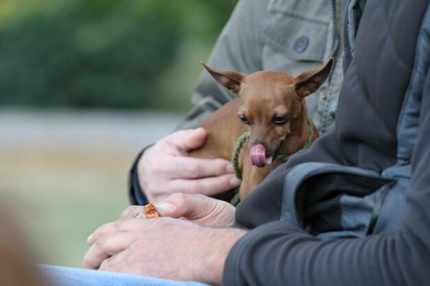 Foto middelsnede van man met hond