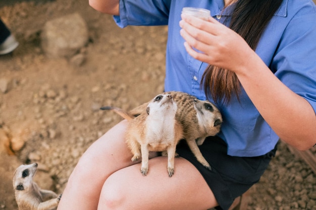 Foto middelsnede van man met hond