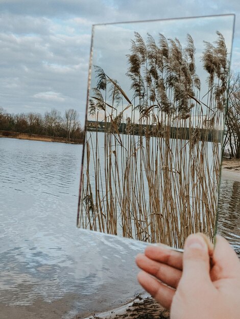 Foto middelsnede van persoon tegen planten tegen lucht