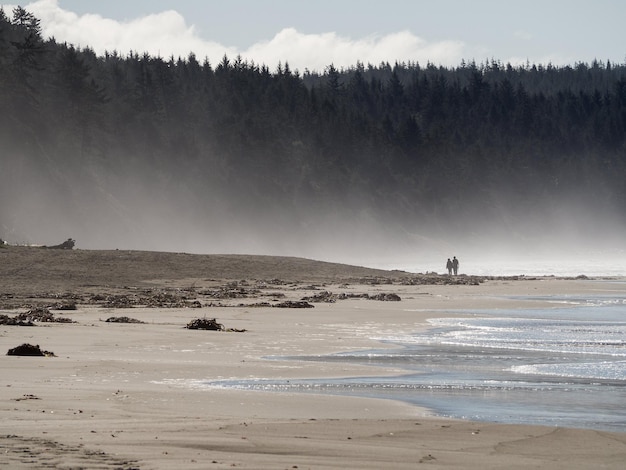 Midden afstandsbeeld van mensen op het strand
