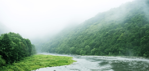midden rivier kreek tussen valleien natuur in een mistig bos 3d illustratie