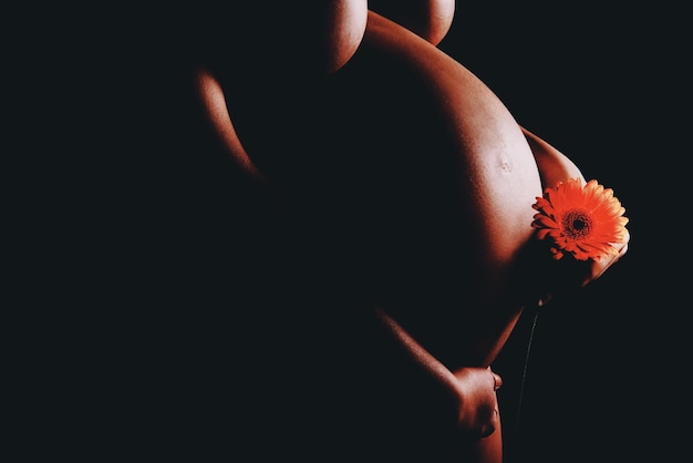 Foto middensectie van zwangere vrouw met bloem die tegen een zwarte achtergrond staat