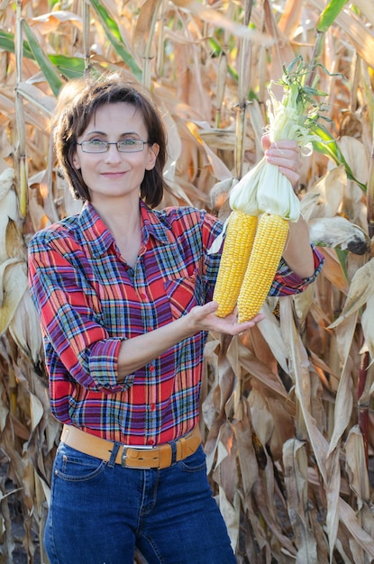 Middle age brunette caucasian female farm worker in glasses shows just picked unwrapped sweet corn cobs