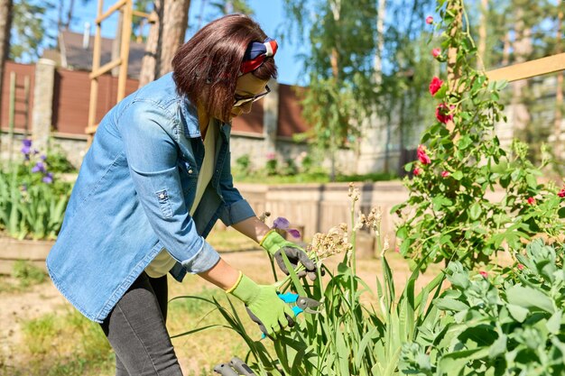 Middle aged woman caring for flower bed in backyard uses tools garden shears