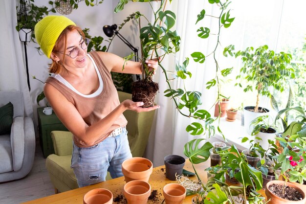 Photo middle aged woman  is taking care of rhaphidophora tetrasperma a mini monstera at home urban