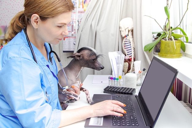 Foto il veterinario della donna di mezza età esamina il cane. studio medico, laptop, attrezzatura medica.