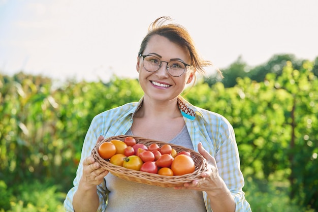 Middle aged woman with basket of ripe red and yellow tomatoes outdoor vegetable garden background Harvest vegetables growing organic eco products season summer autumn gardening farming concept