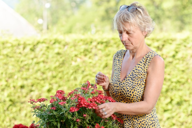 Una donna di mezza età con una pianta in fiore nel giardino