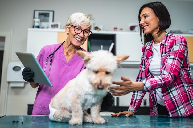 Middle aged woman with her dog at veterinarian.