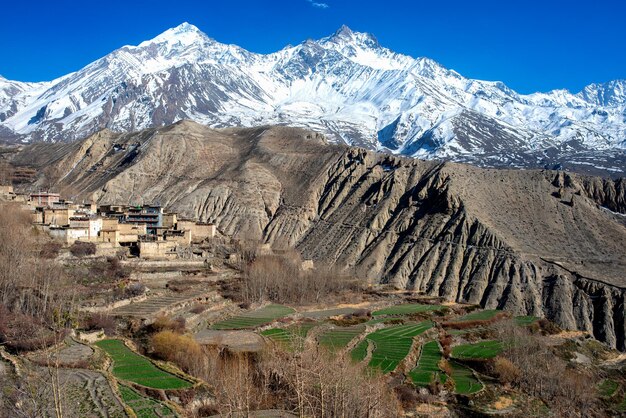 Middle mustang nepal