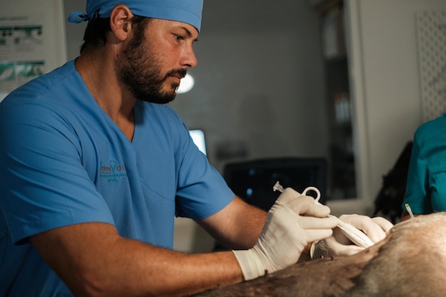 Photo middleaged man performing an ultrasound to determine the pathology concept medicine hospital