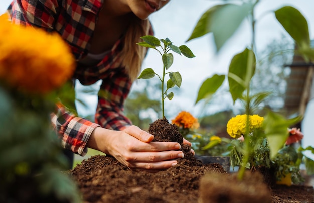 Midsectie vrouwelijke tuinman plant groene foto van hoge kwaliteit