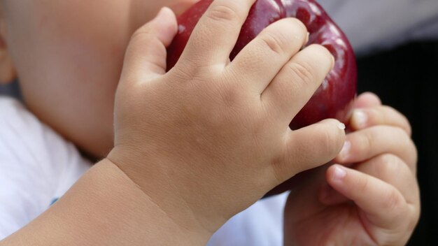 Photo midsection of baby eating apple