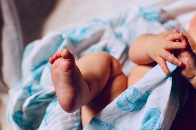 Foto sezione centrale del bambino