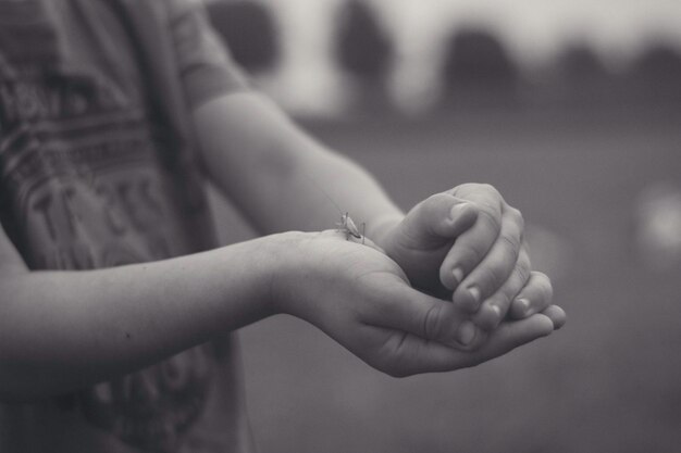 Photo midsection of boy holding insect while standing outdoors