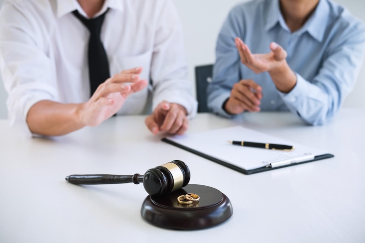 Midsection of businessman discussing with male lawyer at desk