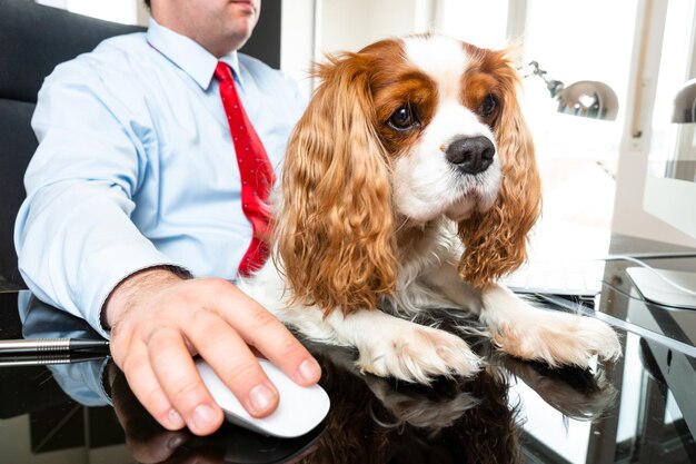 Foto sezione centrale di un uomo d'affari con un cucciolo sulla scrivania