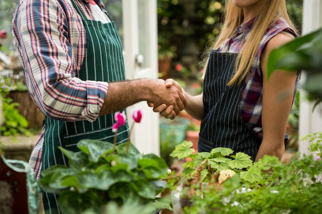 Midsection of colleagues shaking hands at greenhouse