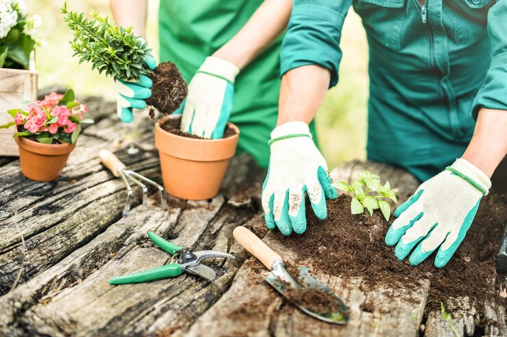 Photo midsection of couple doing gardening in yard