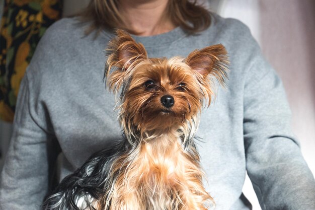 Photo midsection of couple with dog